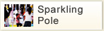 sparkingpole